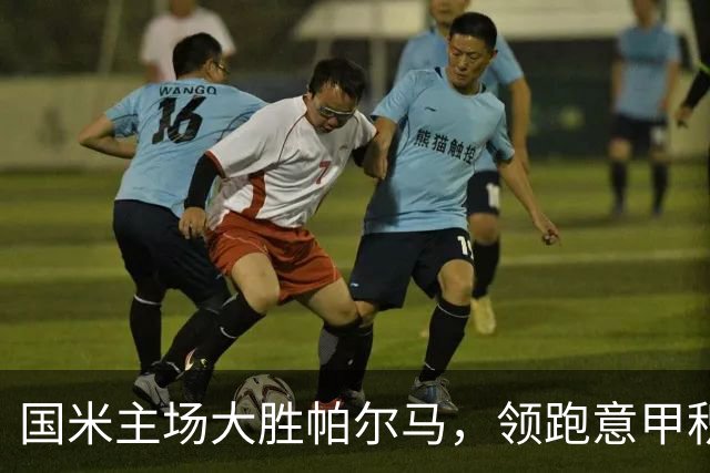国米主场大胜帕尔马，领跑意甲积分榜