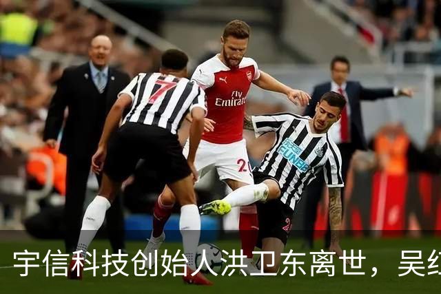 宇信科技创始人洪卫东离世，吴红接任董事长与总经理职务